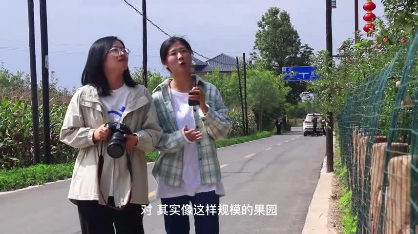 李嶺村：領(lǐng)跑幸福