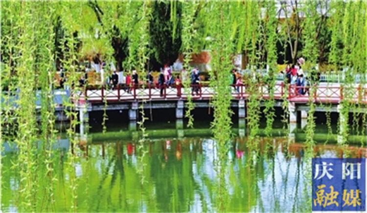 一點(diǎn)慶陽 | 忽然春來（康?。?>

                        <div   id=