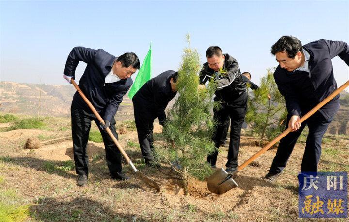 慶陽市2023年市級機關(guān)義務(wù)植樹活動在慶城縣舉行