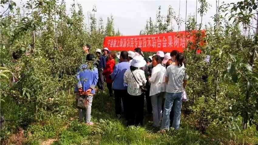 科普之花遍地開(kāi) 引領(lǐng)群眾同致富——寧縣隴上綠源農(nóng)民專(zhuān)業(yè)技術(shù)聯(lián)合會(huì)充分發(fā)揮科技助農(nóng)作用