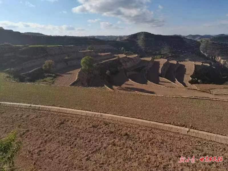 鎮(zhèn)原縣高標準農(nóng)田夯實藏糧“耕”基