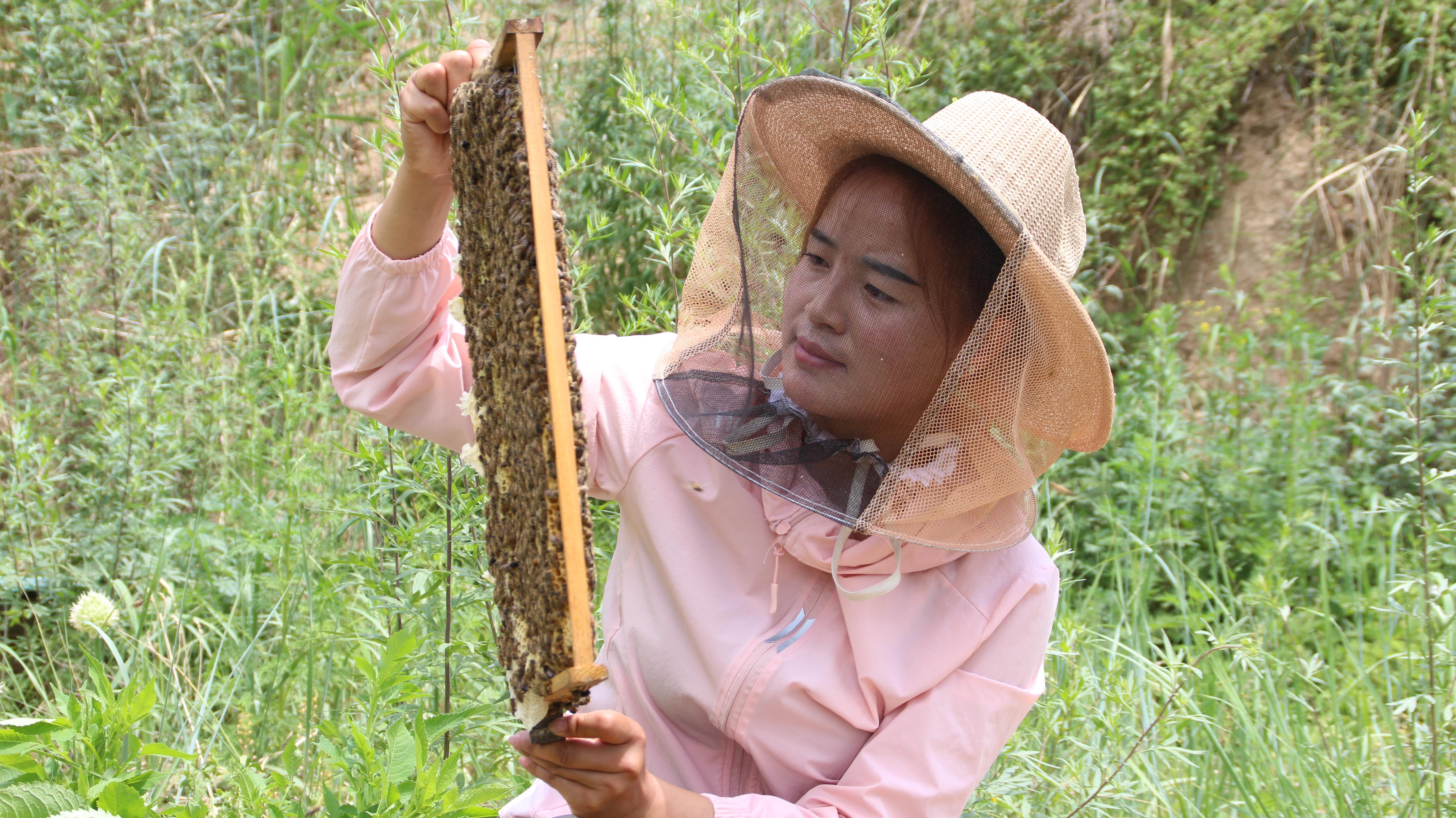 蘇亞麗：“甜蜜”產(chǎn)業(yè)釀出美好生活