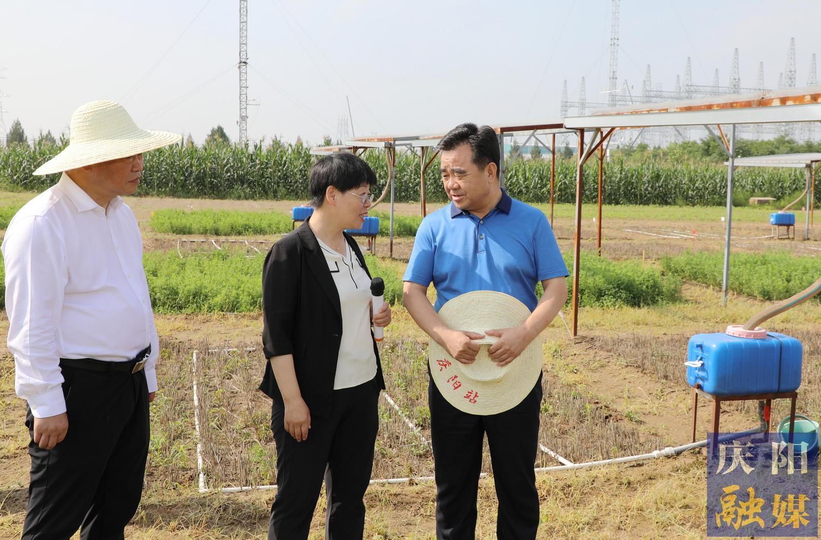 黃澤元在蘭州大學(xué)慶陽草地農(nóng)業(yè)試驗站和市農(nóng)科院調(diào)研時強調(diào) 切實提升科技成果轉(zhuǎn)化率促進(jìn)農(nóng)民增收 加快發(fā)展農(nóng)業(yè)新質(zhì)生產(chǎn)力推動農(nóng)業(yè)增效