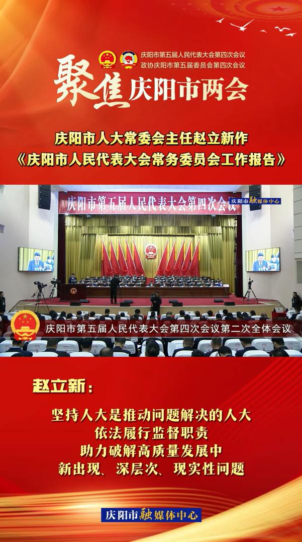 兩會V視(29)丨趙立新：堅(jiān)持人大是推動(dòng)問題解決的人大，依法履行監(jiān)督職責(zé)，助力破解高質(zhì)量發(fā)展中新出現(xiàn)、深層次、現(xiàn)實(shí)性問題