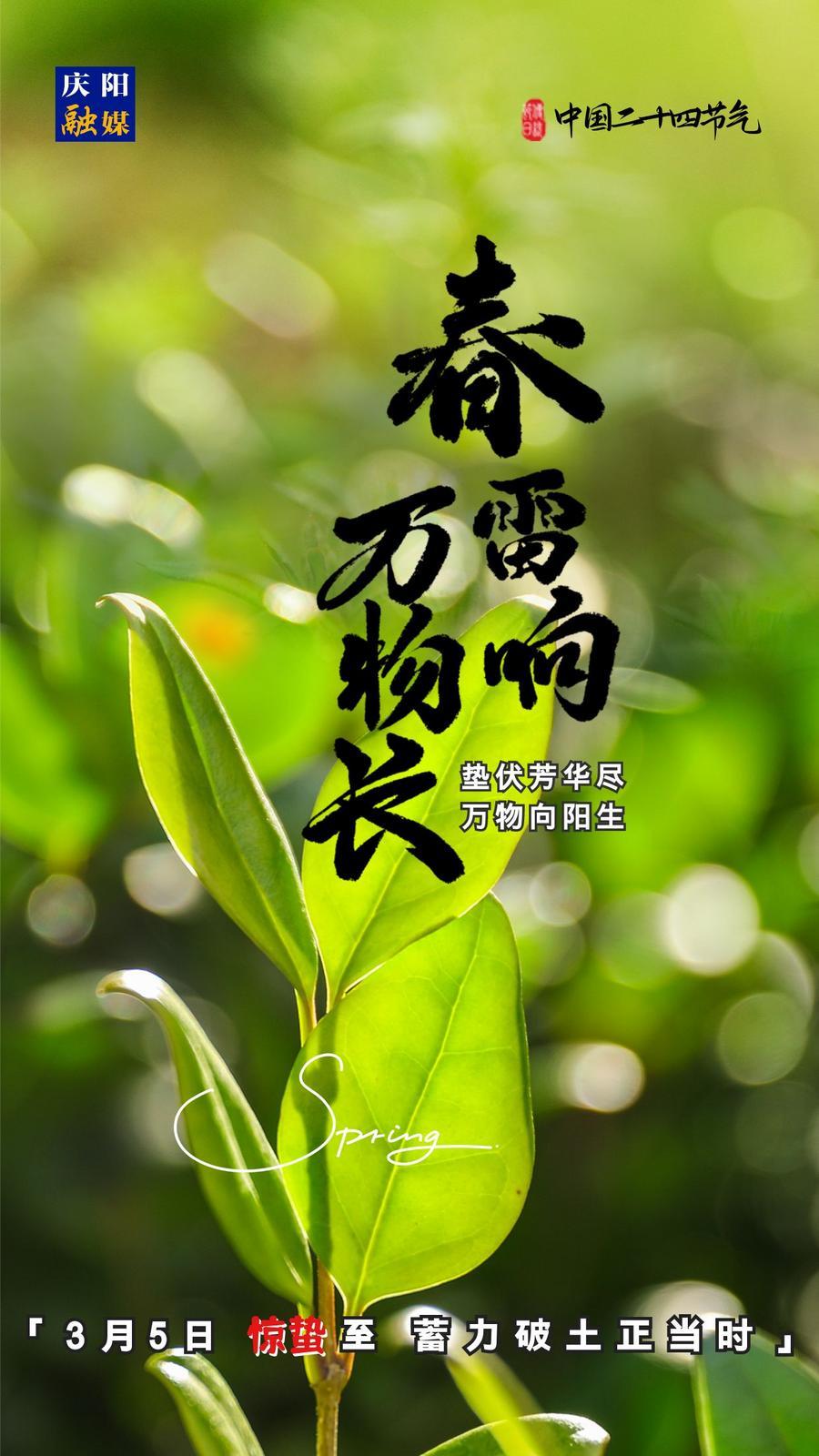 【微海報(bào)】二十四節(jié)氣丨驚蟄至，蓄力破土正當(dāng)時(shí)