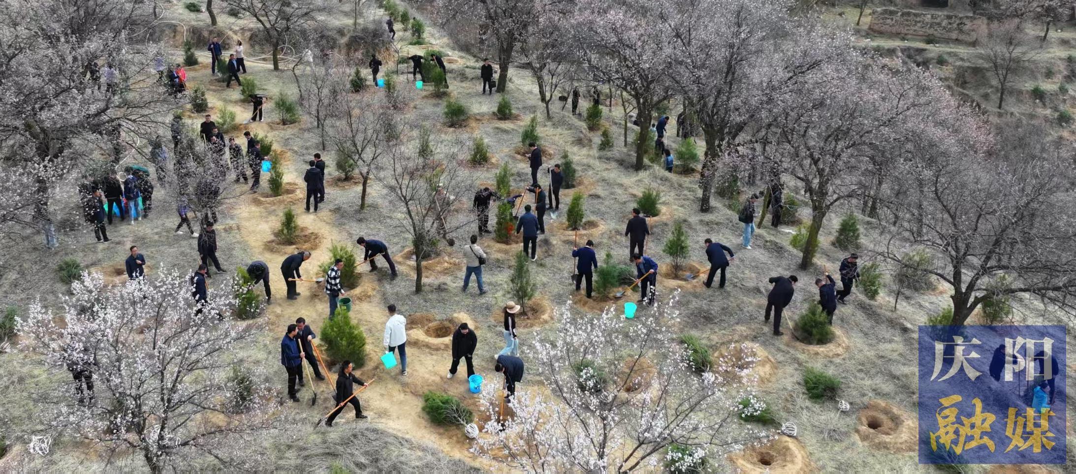 慶陽市市級(jí)機(jī)關(guān)義務(wù)植樹活動(dòng)在西峰區(qū)舉行