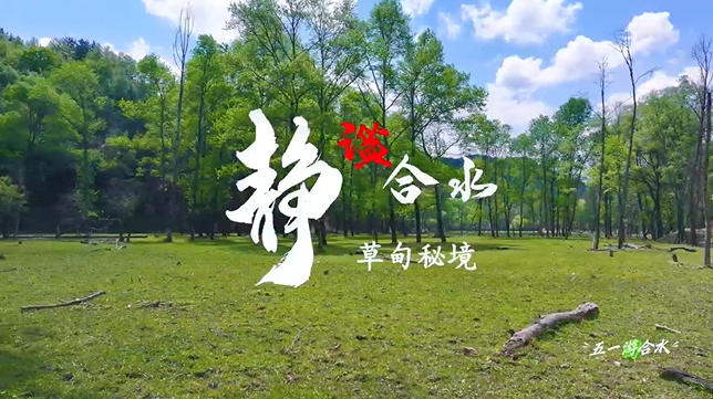 【五一游慶陽】靜謐合水︱合水縣太莪鄉(xiāng)草甸秘境等你來打卡！