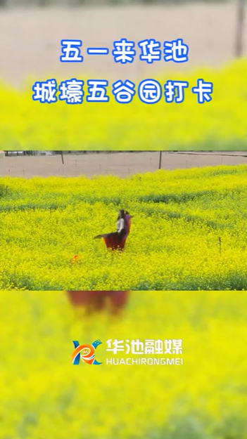 【五一游慶陽】歡迎來華池城壕五谷園打卡！！