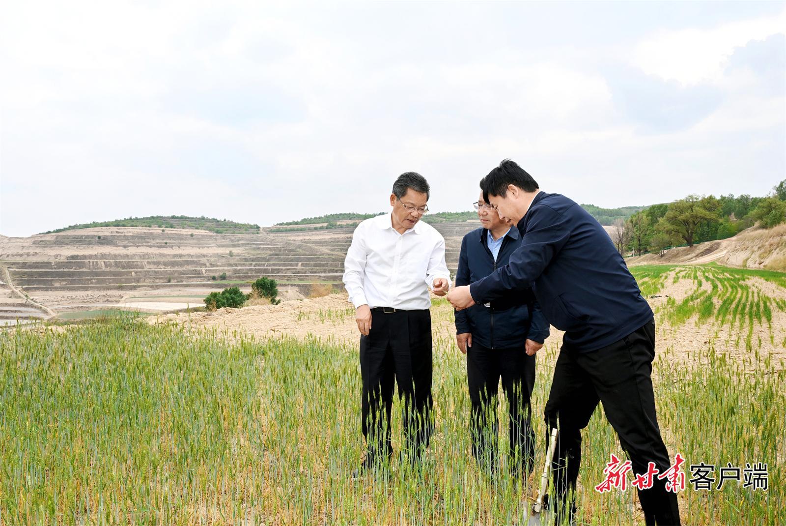 任振鶴在會(huì)寧縣靜寧縣調(diào)研抗旱減災(zāi)和群眾身邊不正之風(fēng)和腐敗問題集中整治工作時(shí)強(qiáng)調(diào) 打好抗旱減災(zāi)主動(dòng)仗 用心辦好實(shí)事惠民生 不斷加固高質(zhì)量發(fā)展的底板