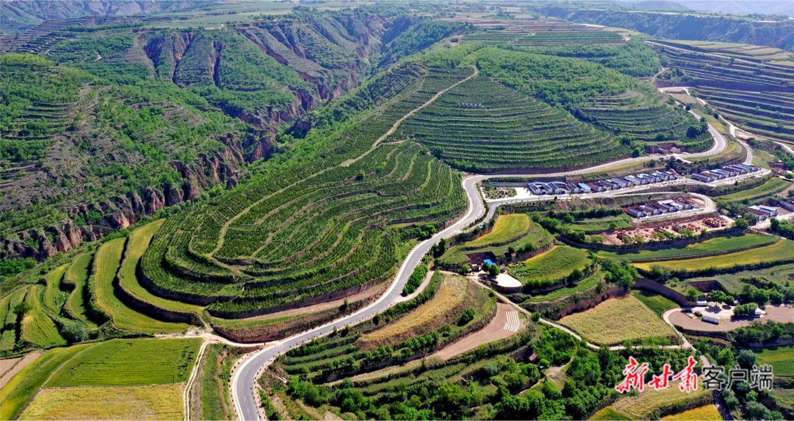 【建設(shè)美麗甘肅 推進(jìn)“三北”工程 構(gòu)筑“綠色長(zhǎng)城”】萬(wàn)里逐綠 譜寫“三北”工程新篇章——甘肅以系統(tǒng)治理筑牢西部生態(tài)安全防線