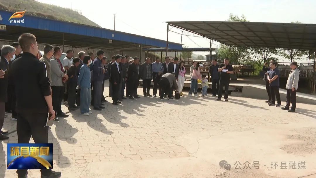 隴原人才基層行畜牧專家為環(huán)縣羊產業(yè)“開良方”“賦新能”